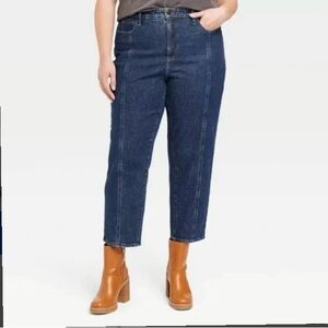 NWT Lot of 2 Universal Thread Vintage Straight Jeans